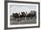 Open Carriage Drawn by Four Horses, 1863, by Guerard, France, 19th Century-null-Framed Giclee Print