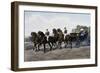 Open Carriage Drawn by Four Horses, 1863, by Guerard, France, 19th Century-null-Framed Giclee Print