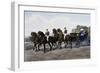 Open Carriage Drawn by Four Horses, 1863, by Guerard, France, 19th Century-null-Framed Giclee Print