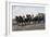 Open Carriage Drawn by Four Horses, 1863, by Guerard, France, 19th Century-null-Framed Giclee Print