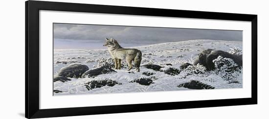 Open Country - Coyote-Wilhelm Goebel-Framed Giclee Print