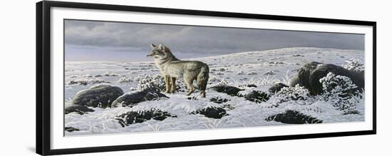 Open Country - Coyote-Wilhelm Goebel-Framed Giclee Print