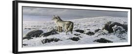 Open Country - Coyote-Wilhelm Goebel-Framed Giclee Print