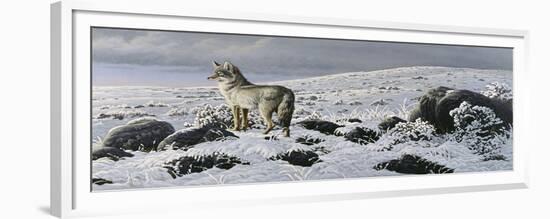 Open Country - Coyote-Wilhelm Goebel-Framed Giclee Print