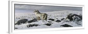 Open Country - Coyote-Wilhelm Goebel-Framed Giclee Print