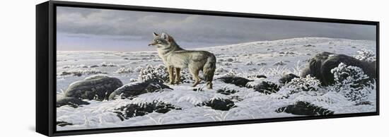 Open Country - Coyote-Wilhelm Goebel-Framed Stretched Canvas
