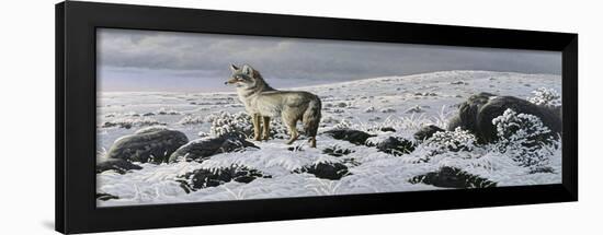 Open Country - Coyote-Wilhelm Goebel-Framed Giclee Print