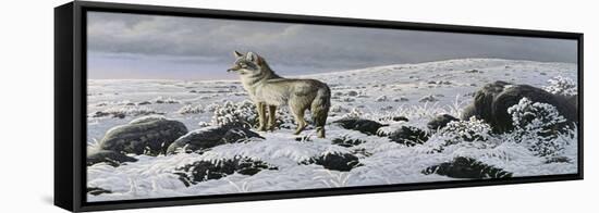 Open Country - Coyote-Wilhelm Goebel-Framed Stretched Canvas