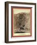 Open Cut in the Great Homestake Mine, at Lead City, Dak-John C. H. Grabill-Framed Giclee Print