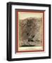 Open Cut in the Great Homestake Mine, at Lead City, Dak-John C. H. Grabill-Framed Giclee Print