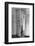 Open Doors, Mexico City, c.1925-Tina Modotti-Framed Photographic Print