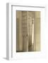 Open Doors, Mexico City (No. 3) by Tina Modotti-null-Framed Photographic Print