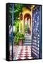 Open Doorway To Southern Living-George Oze-Framed Stretched Canvas