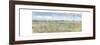 Open Field II-Tim O'Toole-Framed Art Print