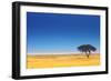 Open Field with Salt Pan in Background ; Etosha National Park; Namibia-Johan Swanepoel-Framed Photographic Print