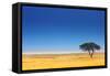 Open Field with Salt Pan in Background ; Etosha National Park; Namibia-Johan Swanepoel-Framed Stretched Canvas