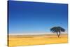 Open Field with Salt Pan in Background ; Etosha National Park; Namibia-Johan Swanepoel-Stretched Canvas