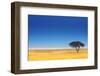 Open Field with Salt Pan in Background ; Etosha National Park; Namibia-Johan Swanepoel-Framed Photographic Print