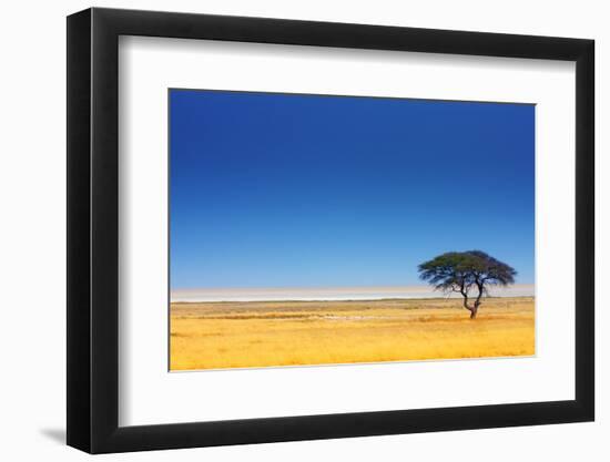 Open Field with Salt Pan in Background ; Etosha National Park; Namibia-Johan Swanepoel-Framed Photographic Print