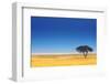 Open Field with Salt Pan in Background ; Etosha National Park; Namibia-Johan Swanepoel-Framed Photographic Print