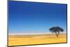 Open Field with Salt Pan in Background ; Etosha National Park; Namibia-Johan Swanepoel-Mounted Photographic Print