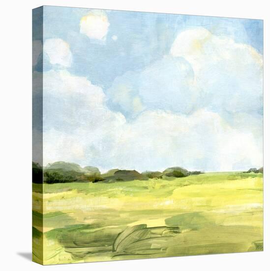 Open Fields II-Annie Warren-Stretched Canvas