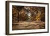 Open for Beauty-Jai Johnson-Framed Photographic Print