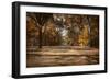 Open for Beauty-Jai Johnson-Framed Photographic Print