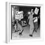 Open Housing Demonstrators Attacked in Chicago-null-Framed Photo