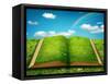 Open Magic Book-egal-Framed Stretched Canvas