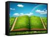 Open Magic Book-egal-Framed Stretched Canvas