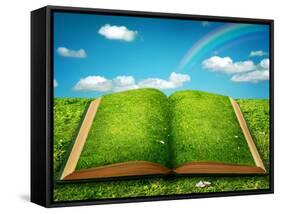 Open Magic Book-egal-Framed Stretched Canvas