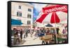 Open market in Gundulic Square, Dubrovnik Old Town, Dubrovnik, Dalmatian Coast, Croatia, Europe-Neale Clark-Framed Stretched Canvas