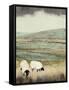 Open Meadow II-Grace Popp-Framed Stretched Canvas