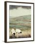 Open Meadow II-Grace Popp-Framed Art Print