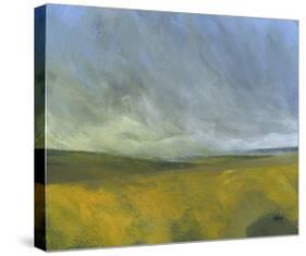 Open Moor-Paul Bailey-Stretched Canvas