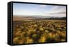 Open Moorland Above Abernethy Forest, Cairngorms Np, Scotland, UK, August 2011-Peter Cairns-Framed Stretched Canvas