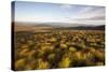 Open Moorland Above Abernethy Forest, Cairngorms Np, Scotland, UK, August 2011-Peter Cairns-Stretched Canvas