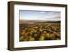 Open Moorland Above Abernethy Forest, Cairngorms Np, Scotland, UK, August 2011-Peter Cairns-Framed Photographic Print