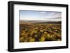 Open Moorland Above Abernethy Forest, Cairngorms Np, Scotland, UK, August 2011-Peter Cairns-Framed Photographic Print