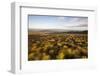 Open Moorland Above Abernethy Forest, Cairngorms Np, Scotland, UK, August 2011-Peter Cairns-Framed Photographic Print