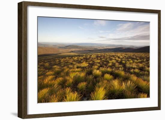 Open Moorland Above Abernethy Forest, Cairngorms Np, Scotland, UK, August 2011-Peter Cairns-Framed Photographic Print