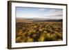 Open Moorland Above Abernethy Forest, Cairngorms Np, Scotland, UK, August 2011-Peter Cairns-Framed Photographic Print