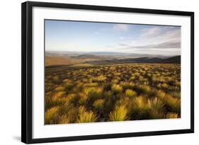 Open Moorland Above Abernethy Forest, Cairngorms Np, Scotland, UK, August 2011-Peter Cairns-Framed Photographic Print