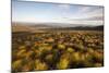 Open Moorland Above Abernethy Forest, Cairngorms Np, Scotland, UK, August 2011-Peter Cairns-Mounted Photographic Print