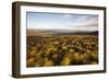 Open Moorland Above Abernethy Forest, Cairngorms Np, Scotland, UK, August 2011-Peter Cairns-Framed Photographic Print