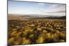 Open Moorland Above Abernethy Forest, Cairngorms Np, Scotland, UK, August 2011-Peter Cairns-Mounted Photographic Print