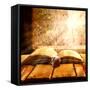 Open Old Book Magic Snail-FOTOALOJA-Framed Stretched Canvas