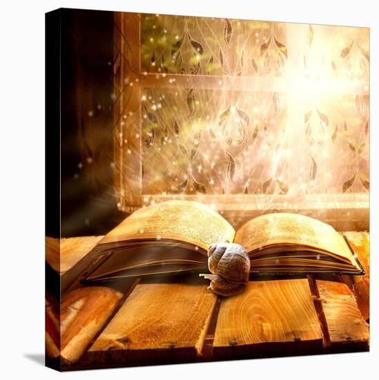 Open Old Book Magic Snail-FOTOALOJA-Stretched Canvas