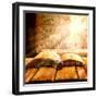 Open Old Book Magic Snail-FOTOALOJA-Framed Photographic Print